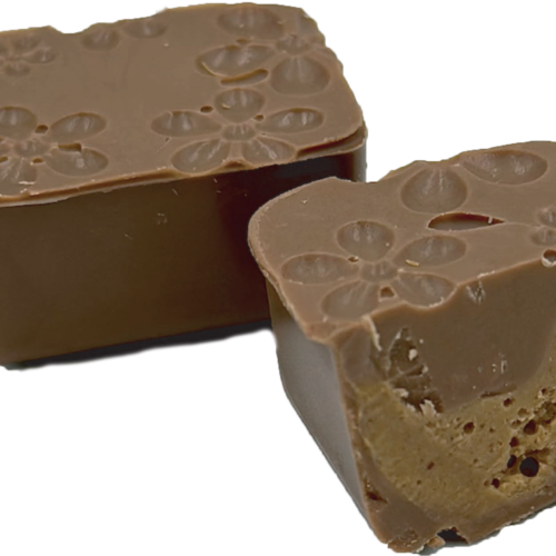 Cerisier chocolat