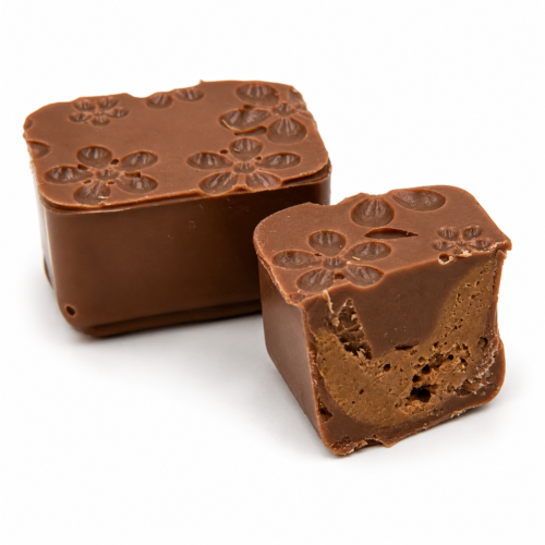 Cerisier chocolat