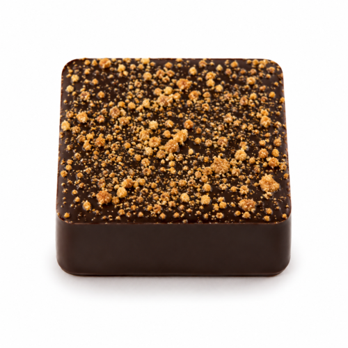 Spéculoos – Forme Carrée, Chocolat Noir